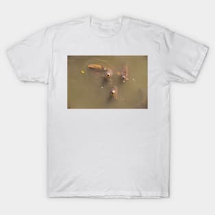 Catfish 3 T-Shirt